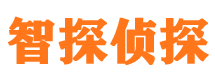 万载侦探公司